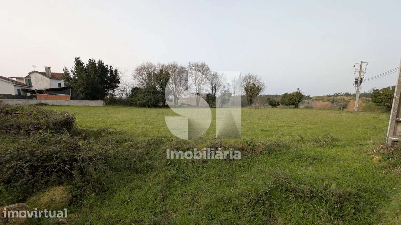 Terreno amplo em Ázere, Tábua - Grande imagem: 5/6