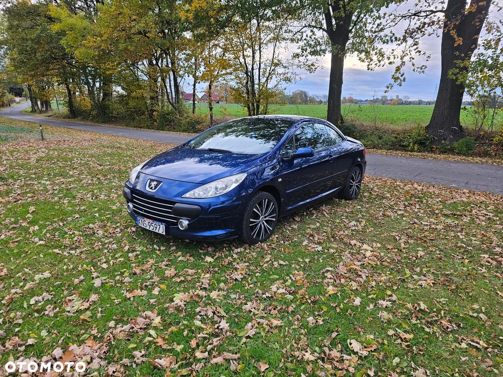 Peugeot 307 CC 140 JBL - 15