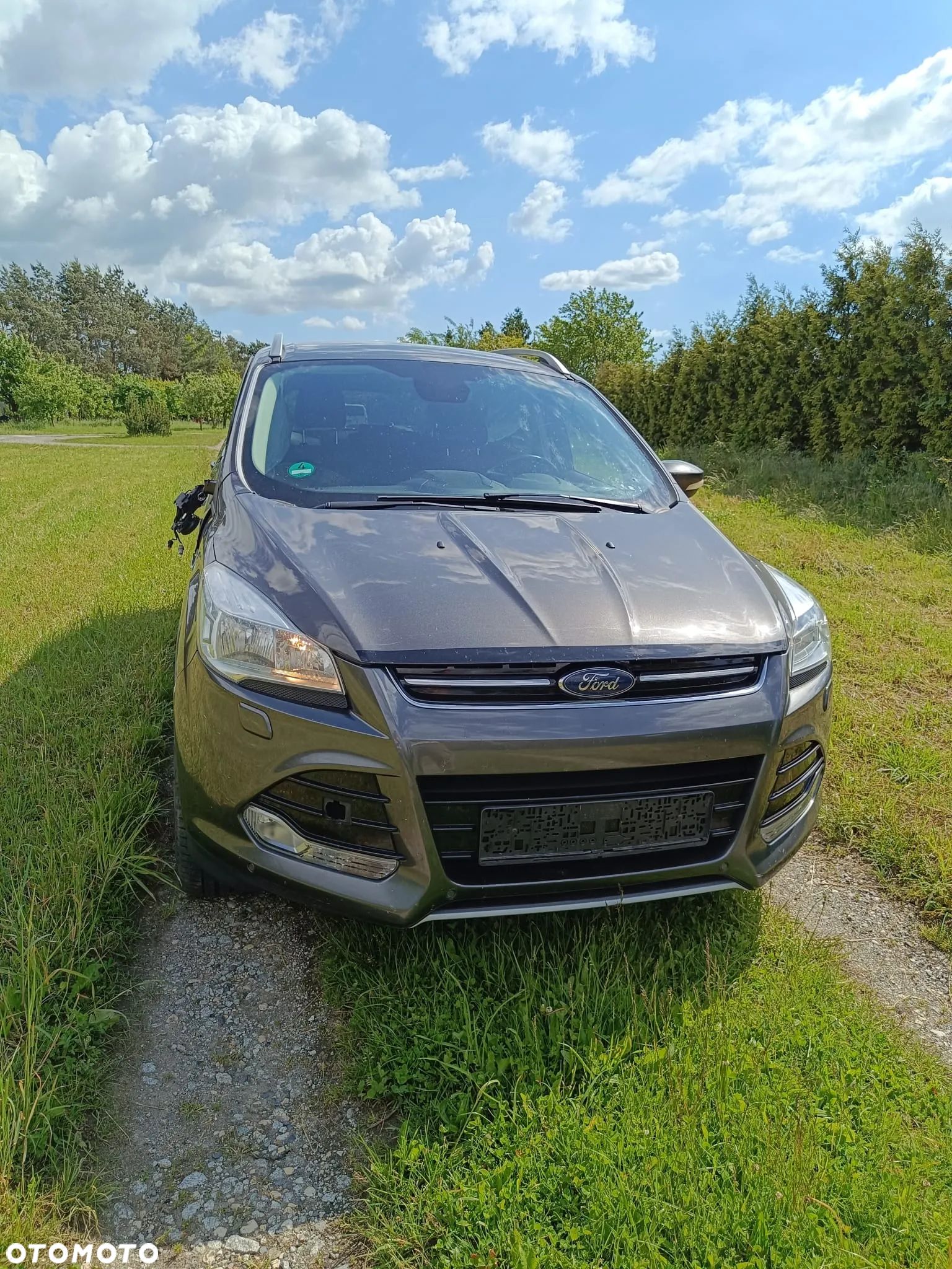 Ford Kuga 2.0 EcoBlue 4x4 TITANIUM - 1