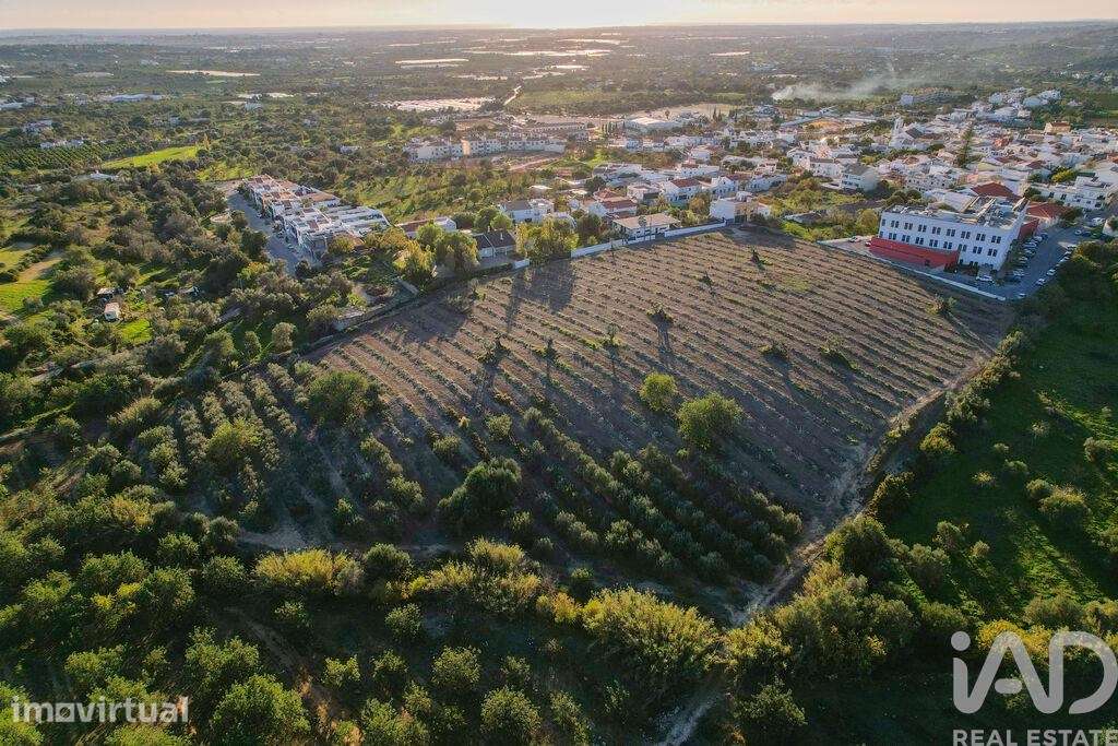 Terreno para construção em Conceição e Estoi de 8800,00 m2 - Grande imagem: 5/24