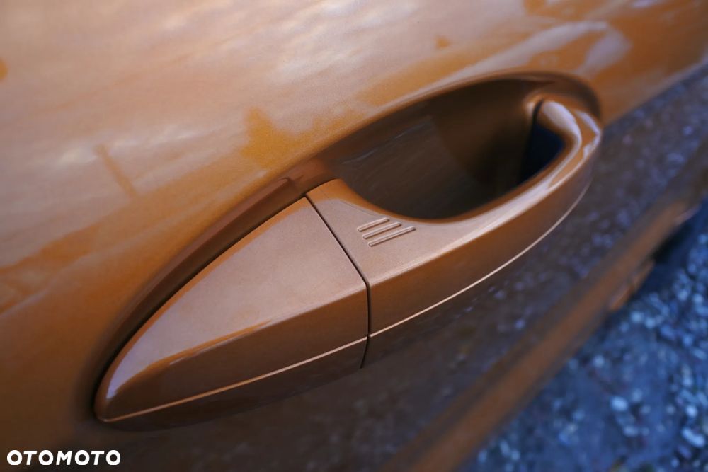 Ford EcoSport 1.0 EcoBoost ST-Line Black ASS - 30