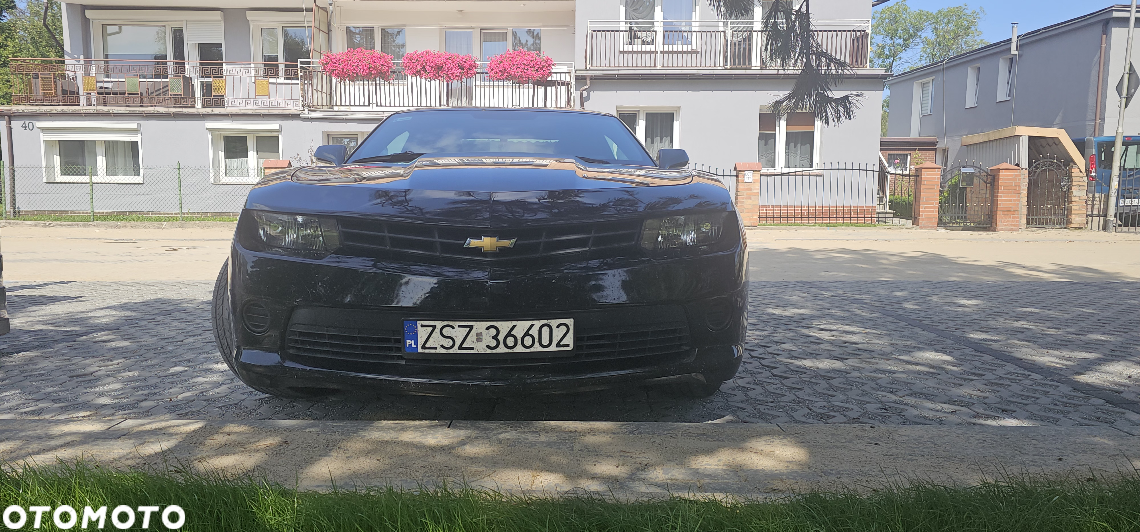 Chevrolet Camaro - 6