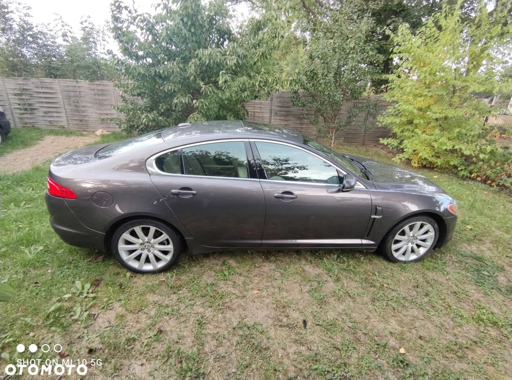 Jaguar XF 3.0 V6 D Luxury - 7