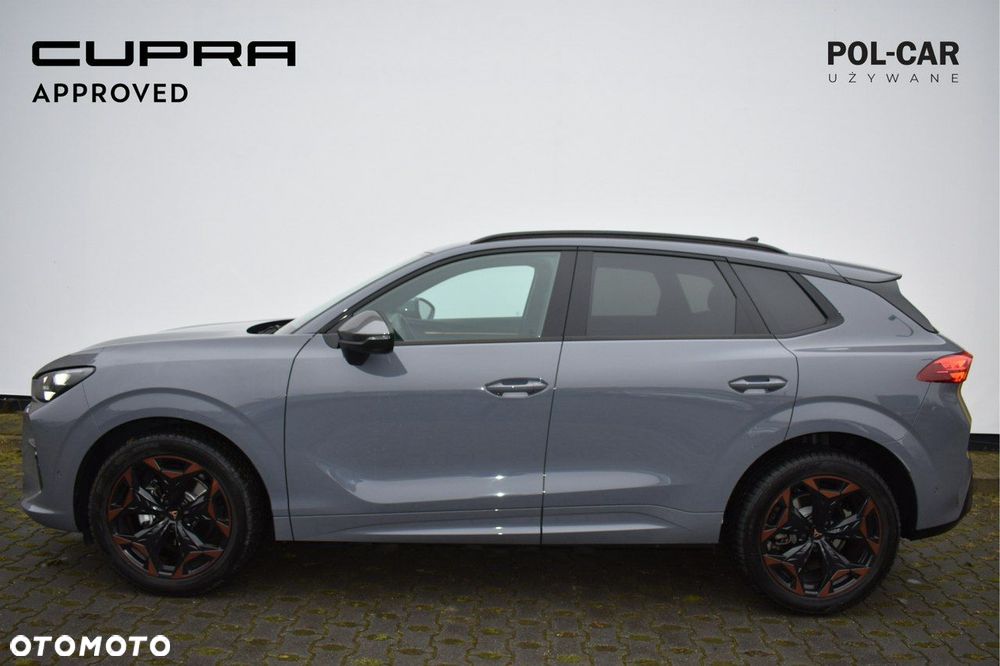 Cupra Terramar - 4