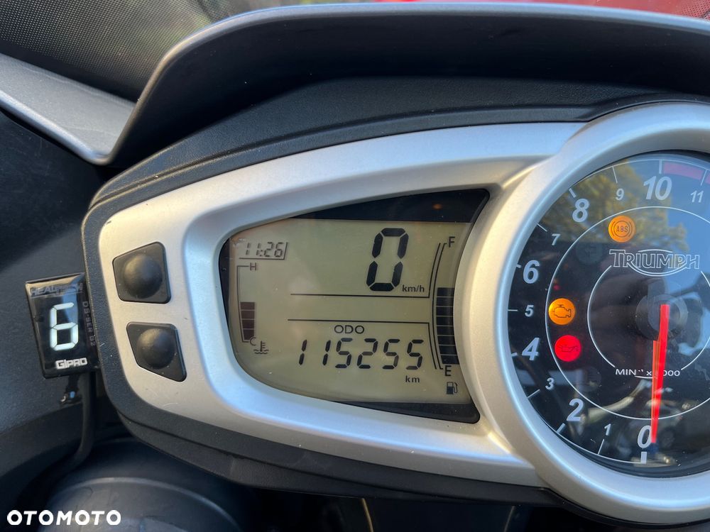 Triumph Tiger - 19
