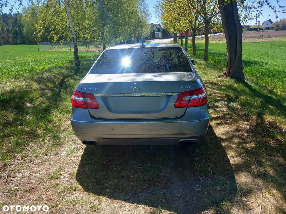 Mercedes-Benz Klasa E 250 CDI 4-Matic BlueEff Avantgarde - 2