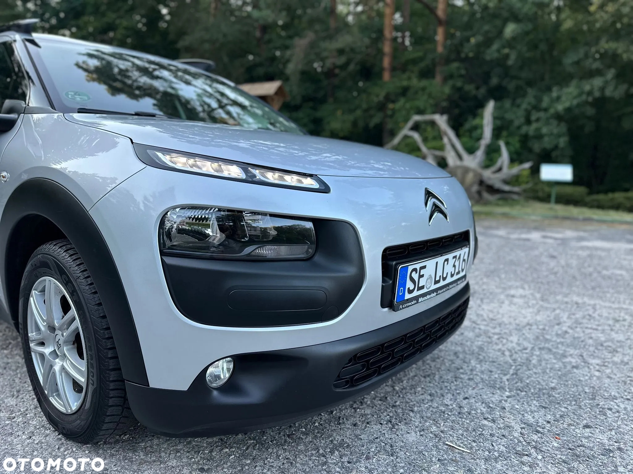 Citroën C4 Cactus - 11
