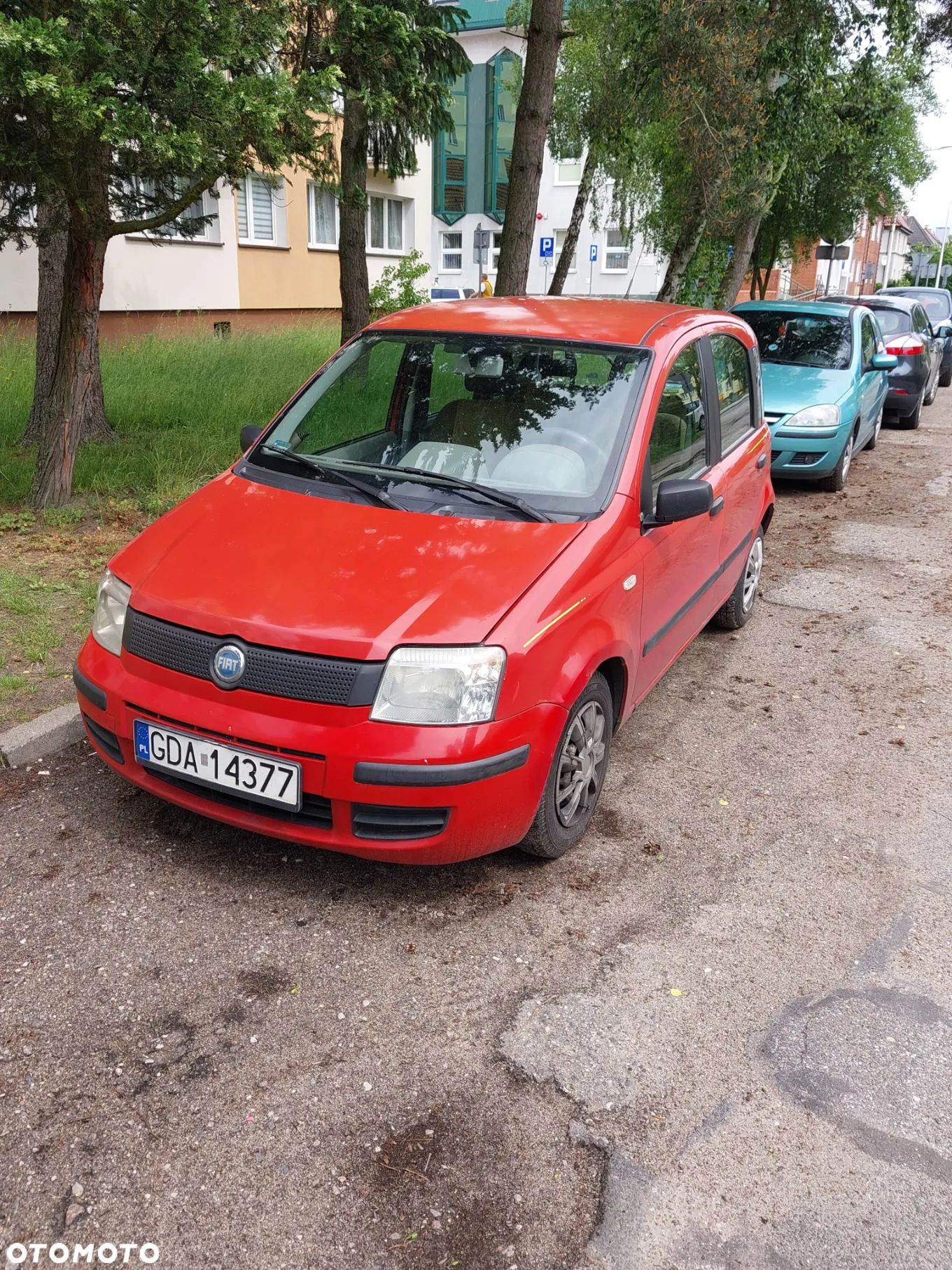 Fiat Panda - 1