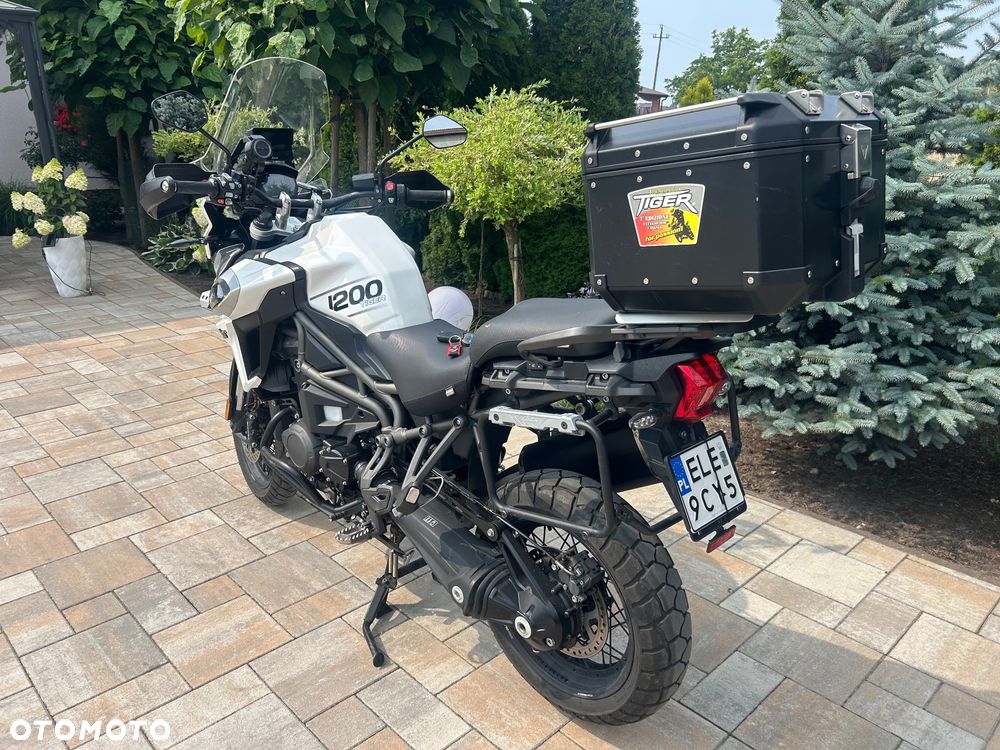 Triumph Tiger - 11