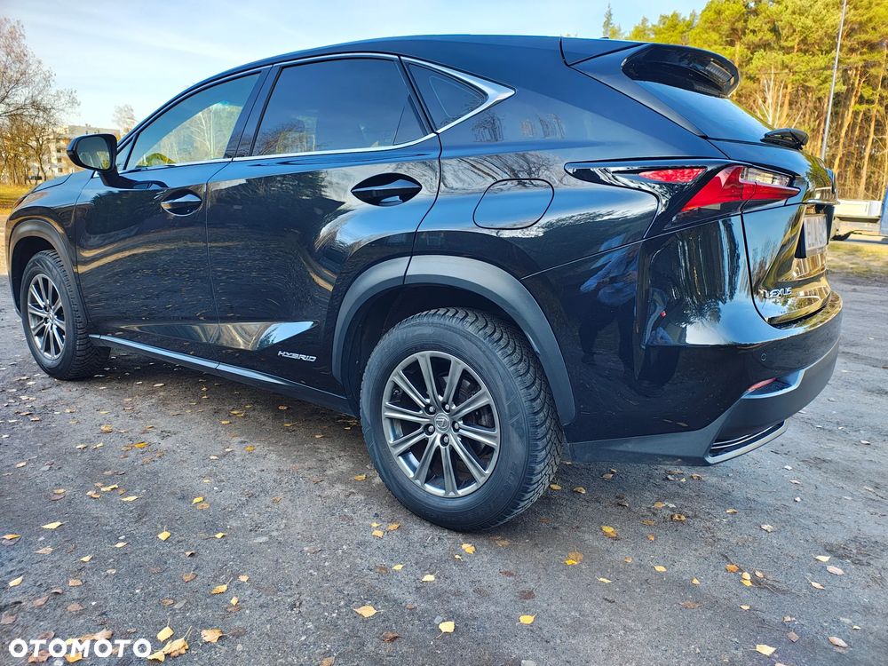 Lexus NX 300h Elegance 2WD - 12