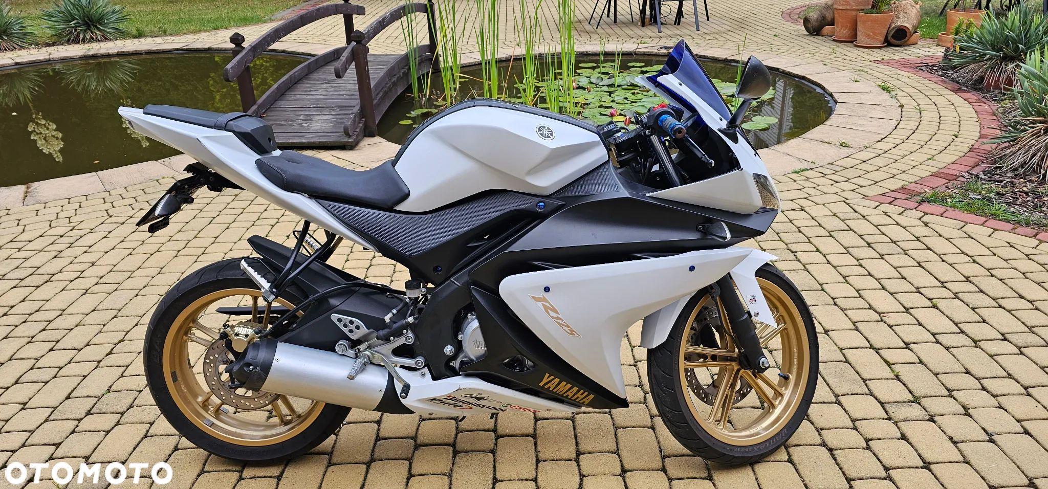 Yamaha YZF - 1