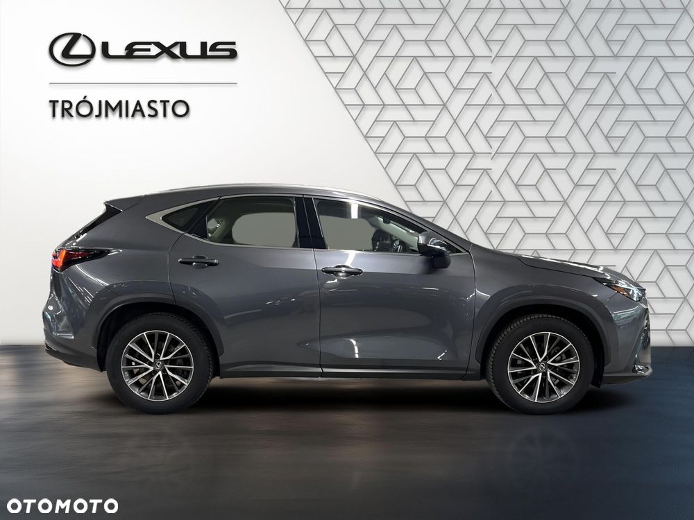 Lexus NX 350h Business AWD - 7