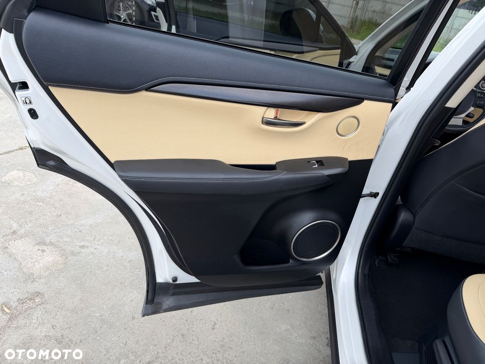 Lexus NX 300 Business Edition AWD - 16