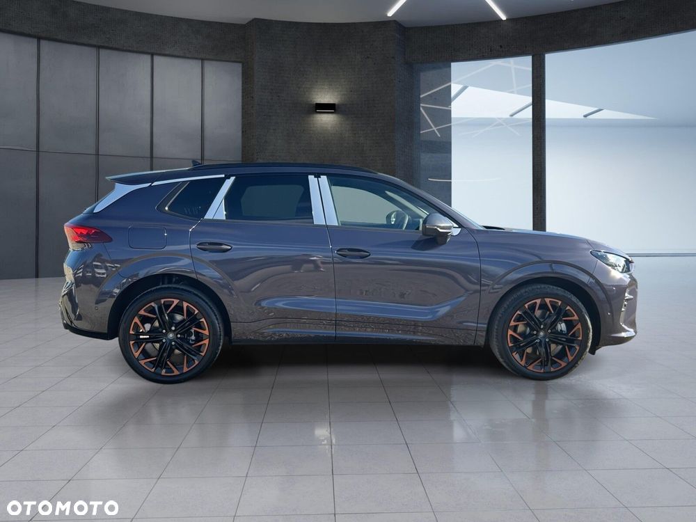 Cupra Terramar 2.0 TSI 4Drive Advantage Edition DSG - 10