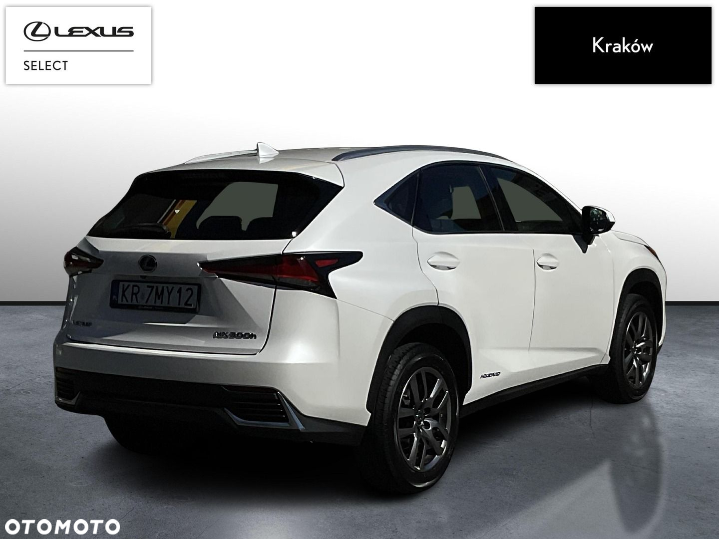 Lexus NX 300h Business Edition AWD - 5