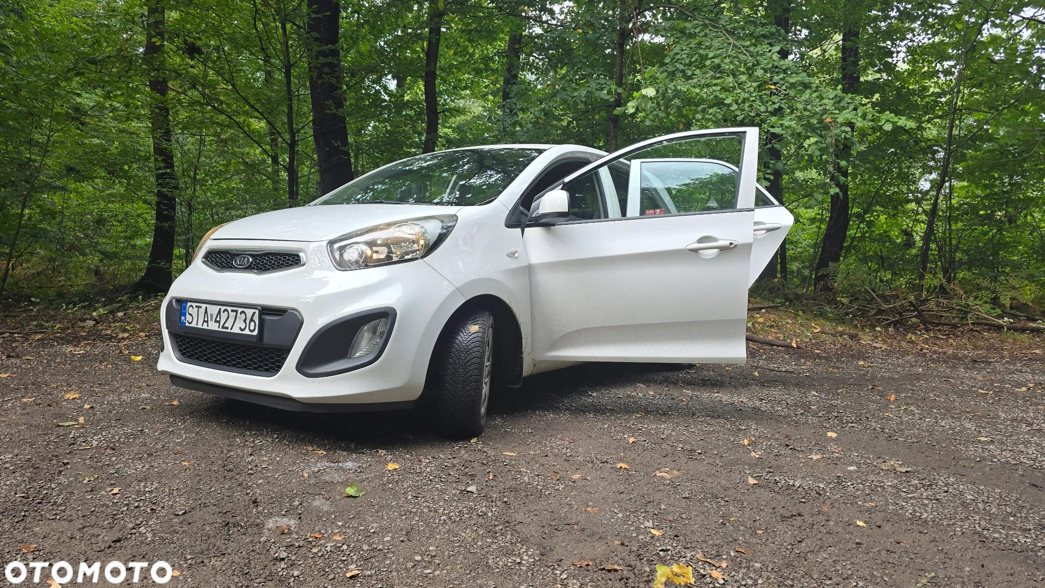 Kia Picanto - 2