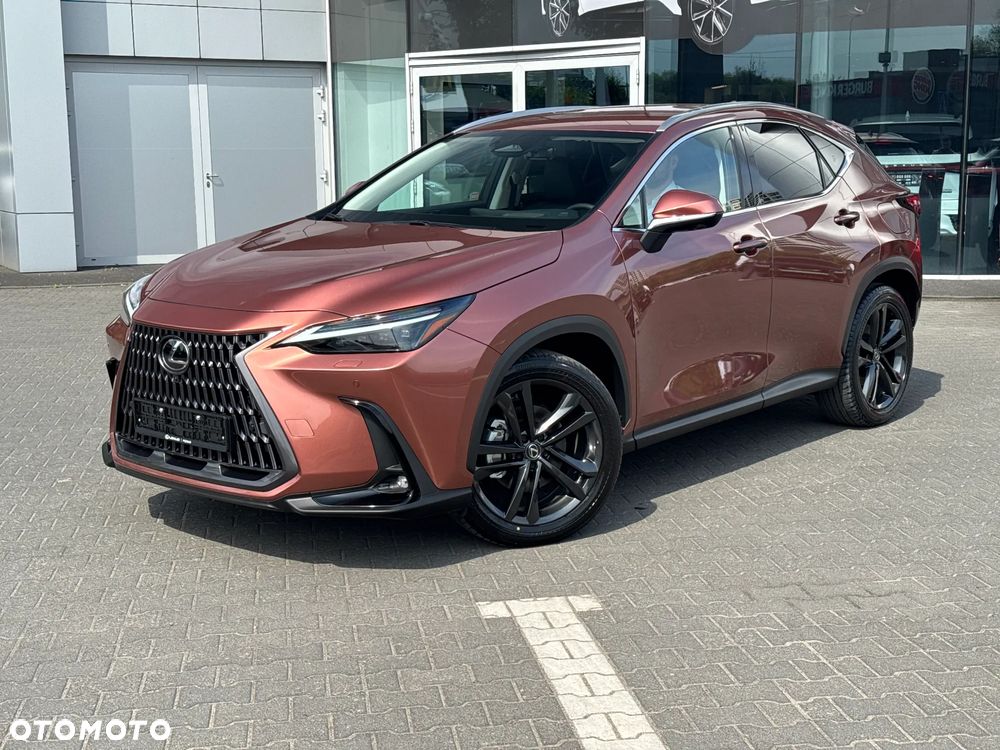 Lexus NX - 10