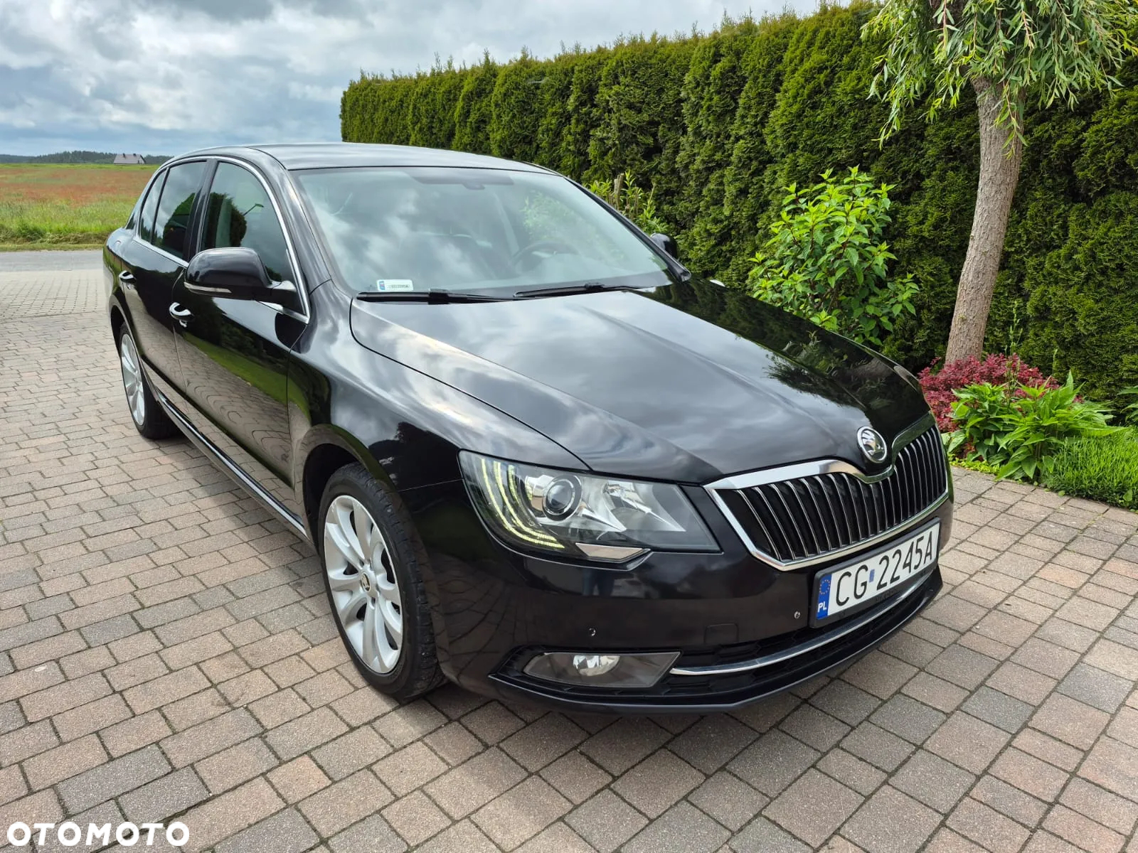 Skoda Superb 2.0 TDI Business DSG - 3