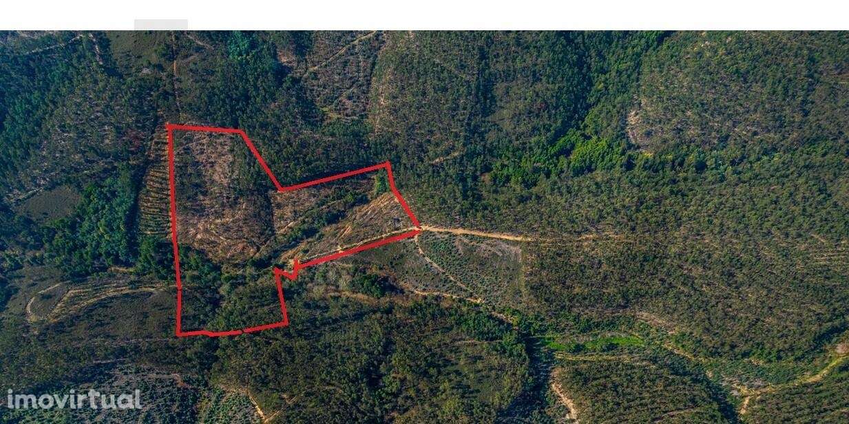 Terreno com 20.750m2 nas Serras do Porto – Aguiar de Sousa - Grande imagem: 2/13