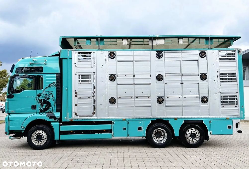 MAN TGX 26.640 D38 6x2 | 3 POZIOMY | TRANSPORT ZWIERZĄT | 640 KM | RETARDER | 2019 - 6