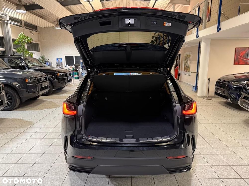 Lexus NX - 12