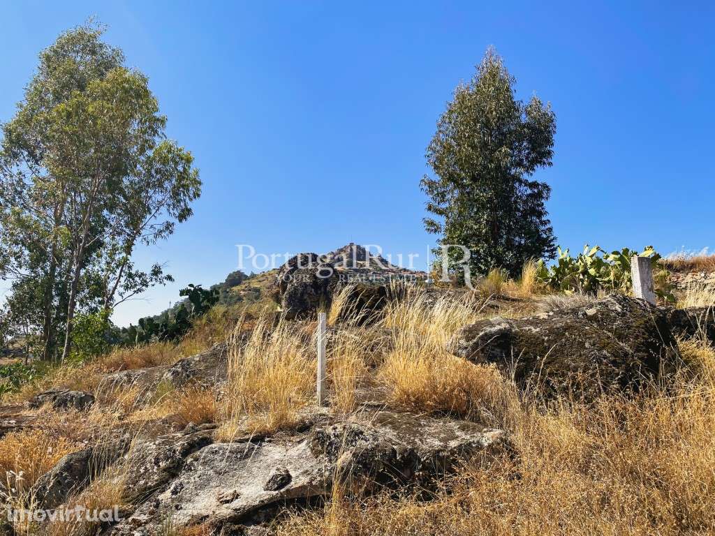 Terreno Rústico com 2.080 m² em Eugénia, Monsanto - Grande imagem: 4/14