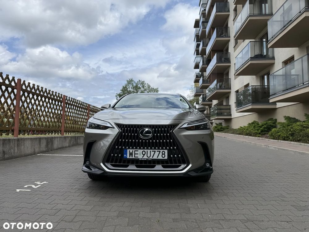 Lexus NX 350h Prestige 2WD - 2