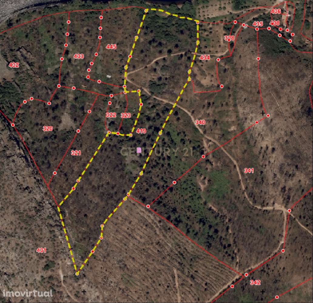 Terreno Rústico às Portas de Rodão com Quota de Rio, Vila Velha de Ród - Grande imagem: 5/12