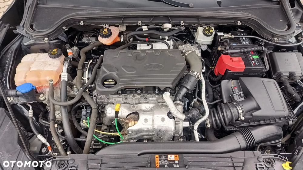 Ford Focus - 7