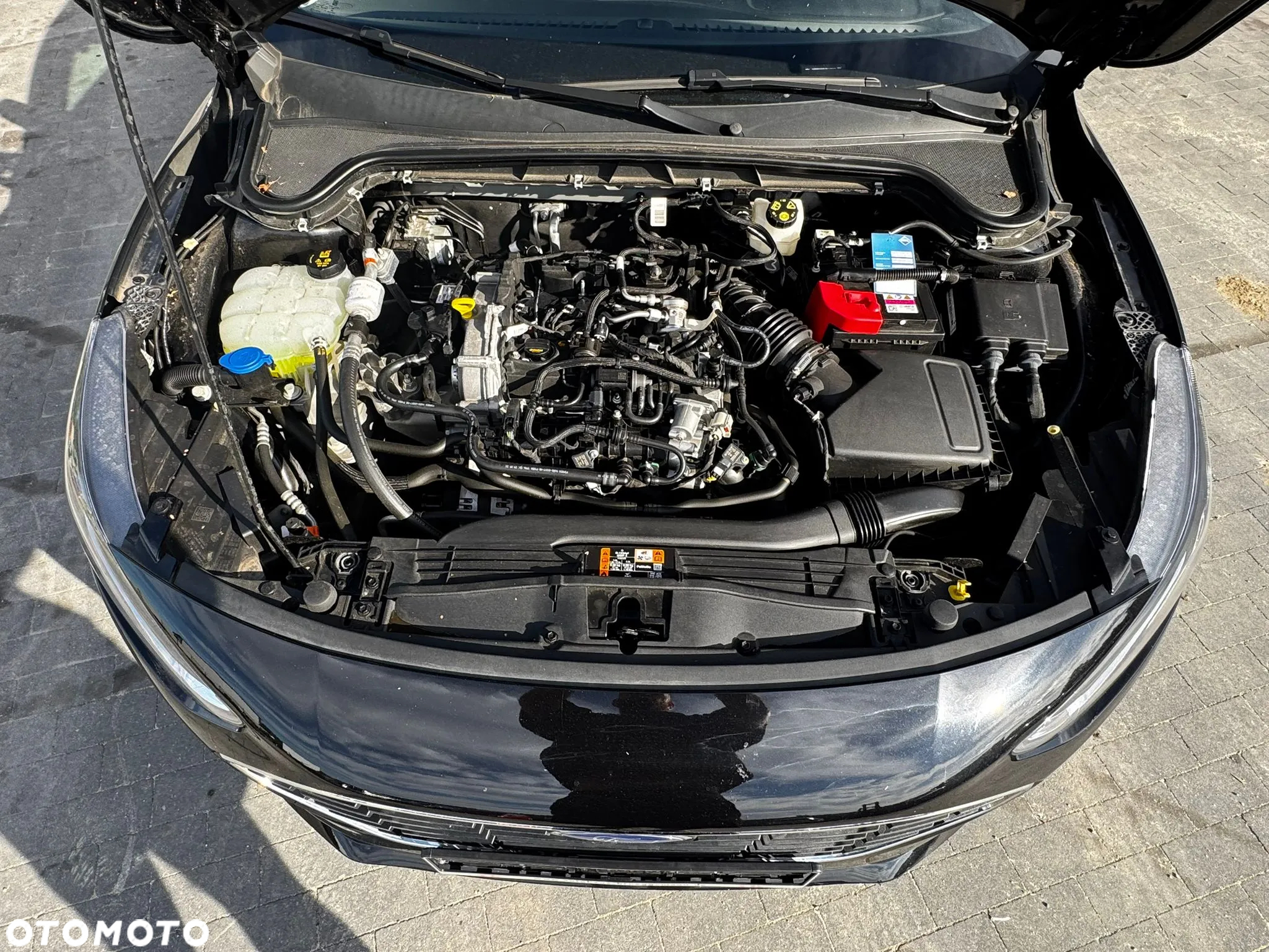 Ford Focus Turnier 1.0 EcoBoost Start-Stopp-System TITANIUM - 19