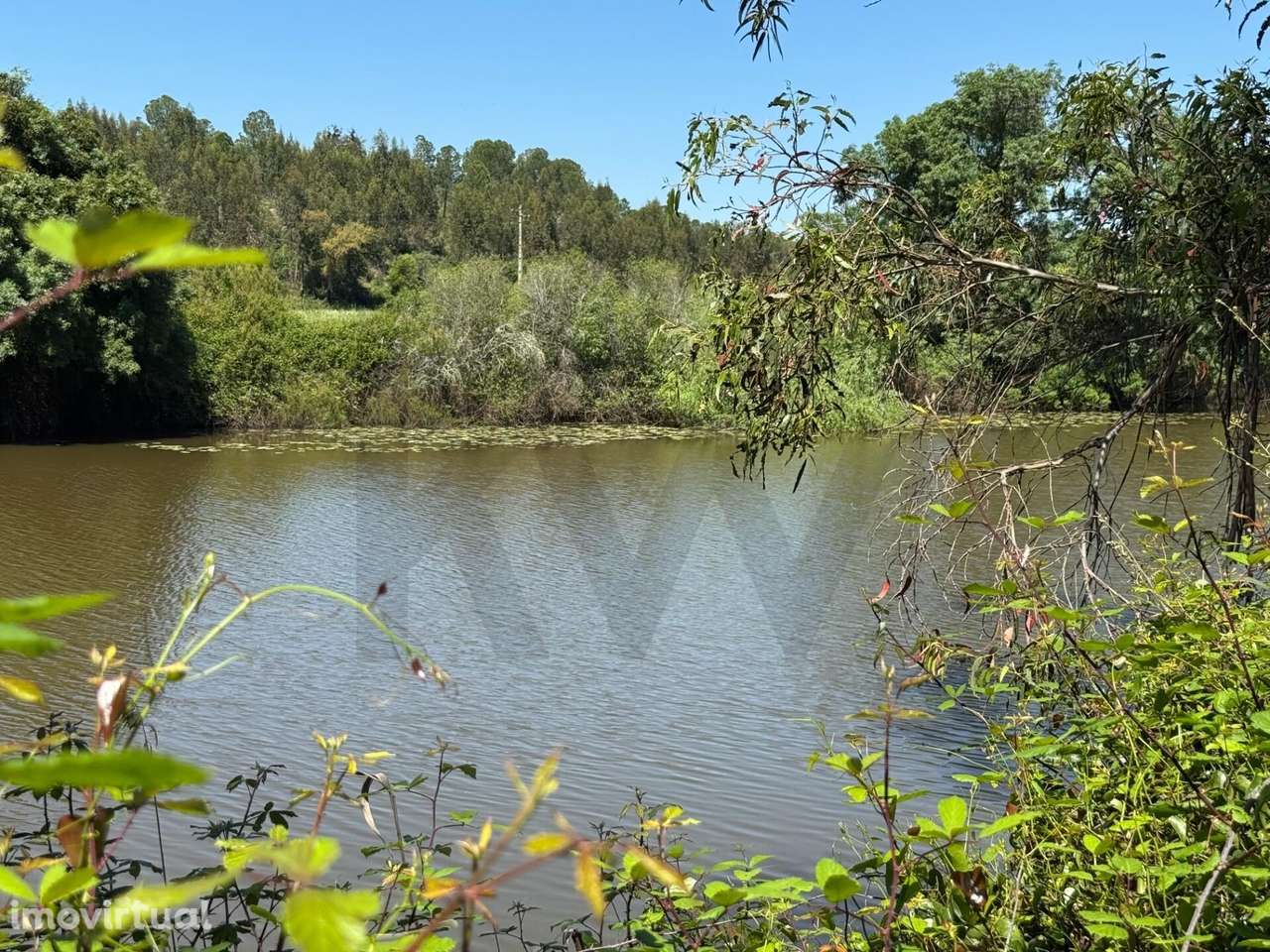 Refúgio Ideal no Alentejo: Investimento único com Potencial Agrícola e - Grande imagem: 2/39