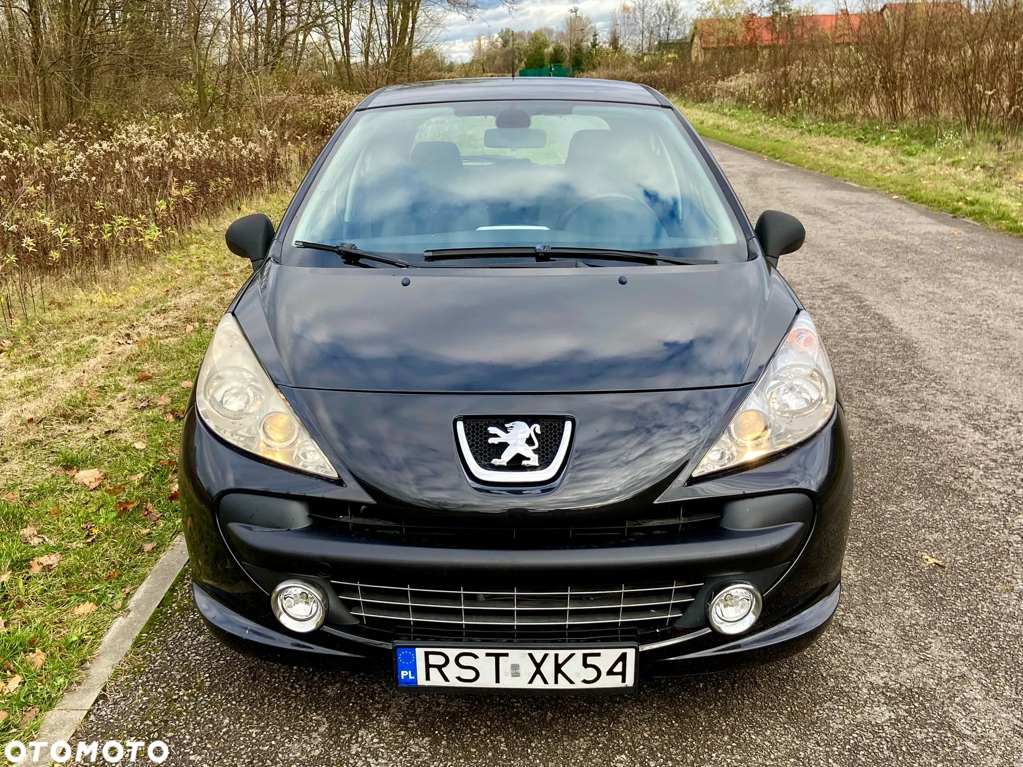Peugeot 207 - 3