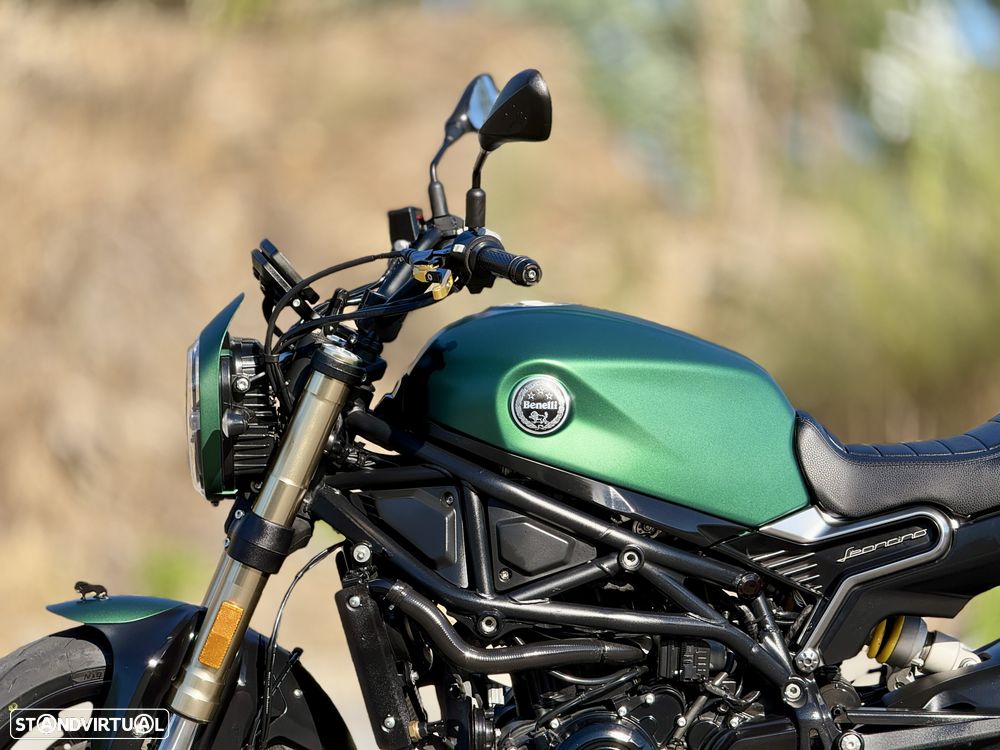 Benelli Leoncino Green Matte - 14