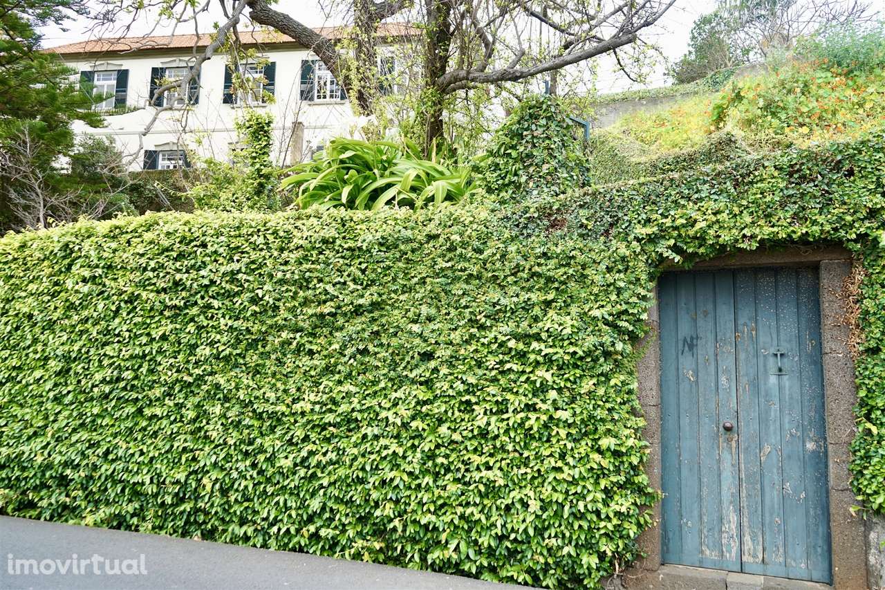 Fantástica moradia num lote de 1360m2 - Grande imagem: 2/49