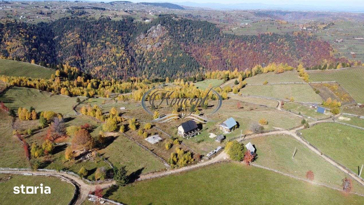 Oaza de natura si traditie cu potential turistic in Muntii Apuseni - Imagine principală: 3/8