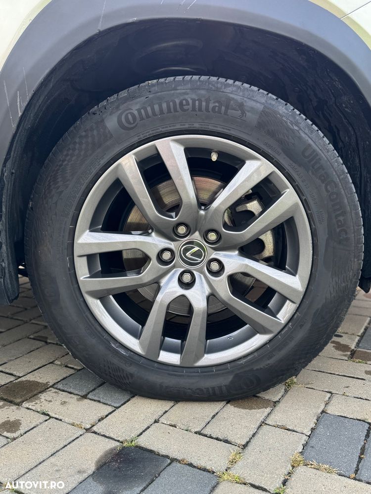 Lexus Seria NX 300h AWD Business Plus - 16