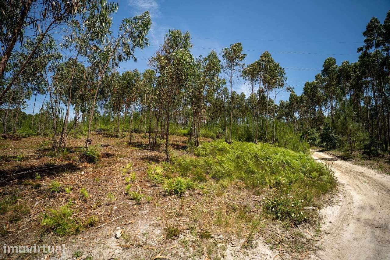 Oportunidade de Investimento em Terreno com 3524 m2 em Leiria - Grande imagem: 2/7