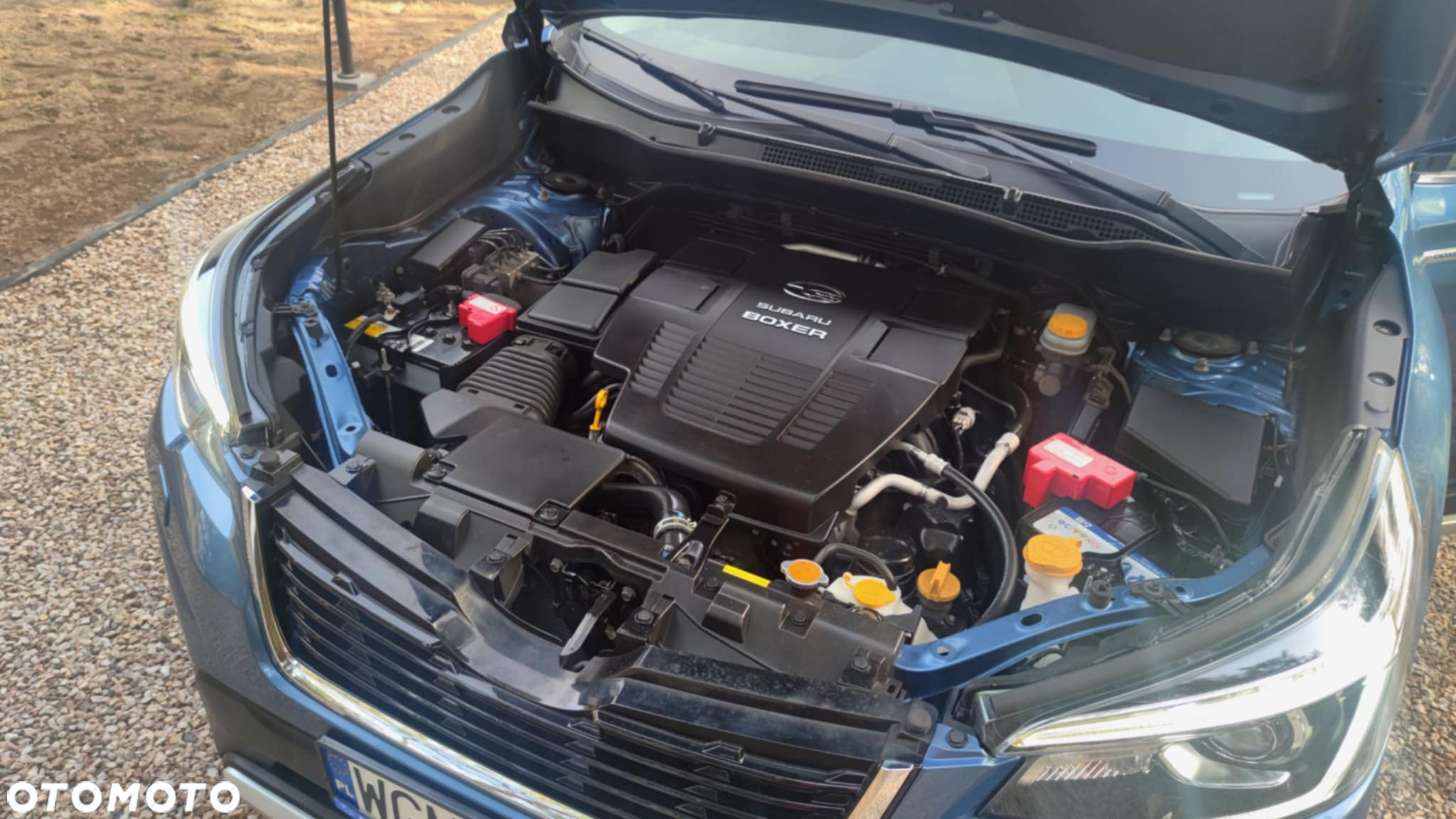 Subaru Forester 2.0 i Exclusive Special (EyeSight) Lineartronic - 13