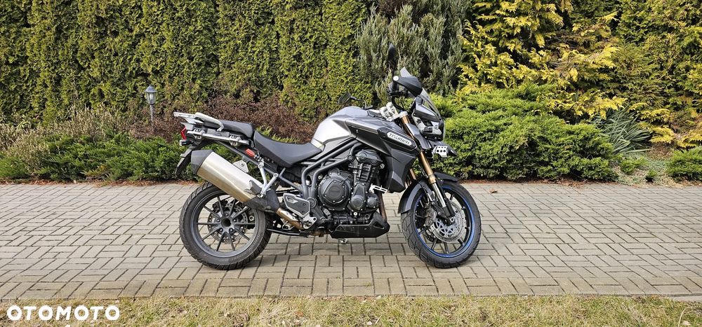 Triumph Tiger - 3
