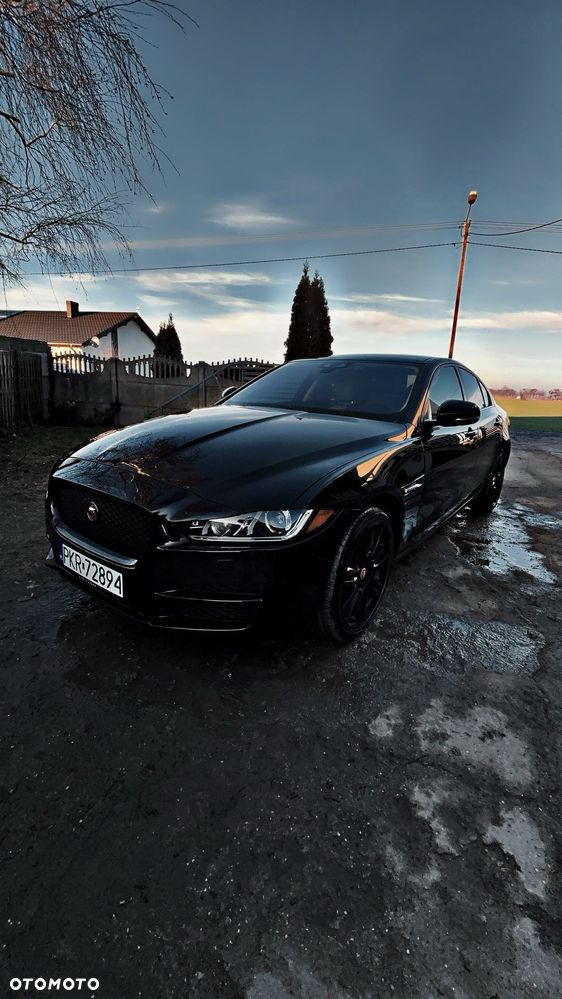 Jaguar XE 25t AWD Prestige - 14