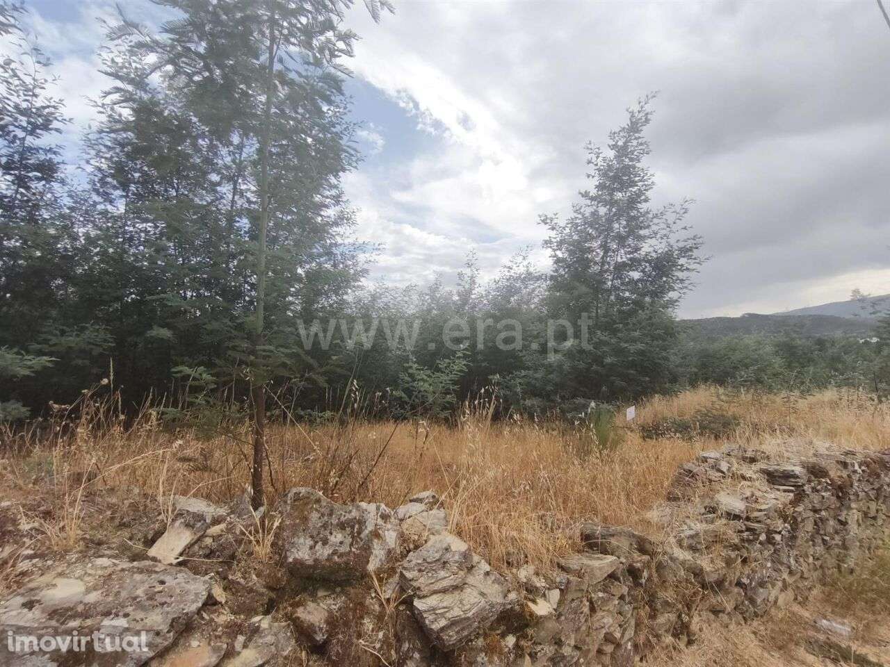 Terreno Rústico / Fundão, Silvares - Grande imagem: 3/3