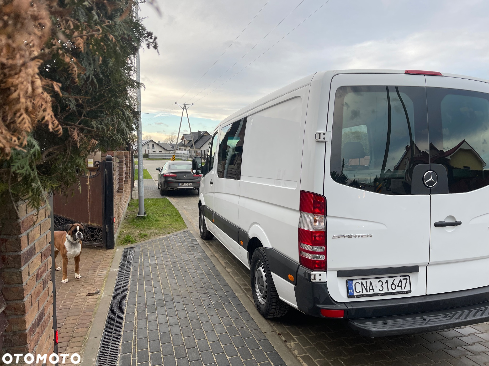Mercedes-Benz Sprinter - 6