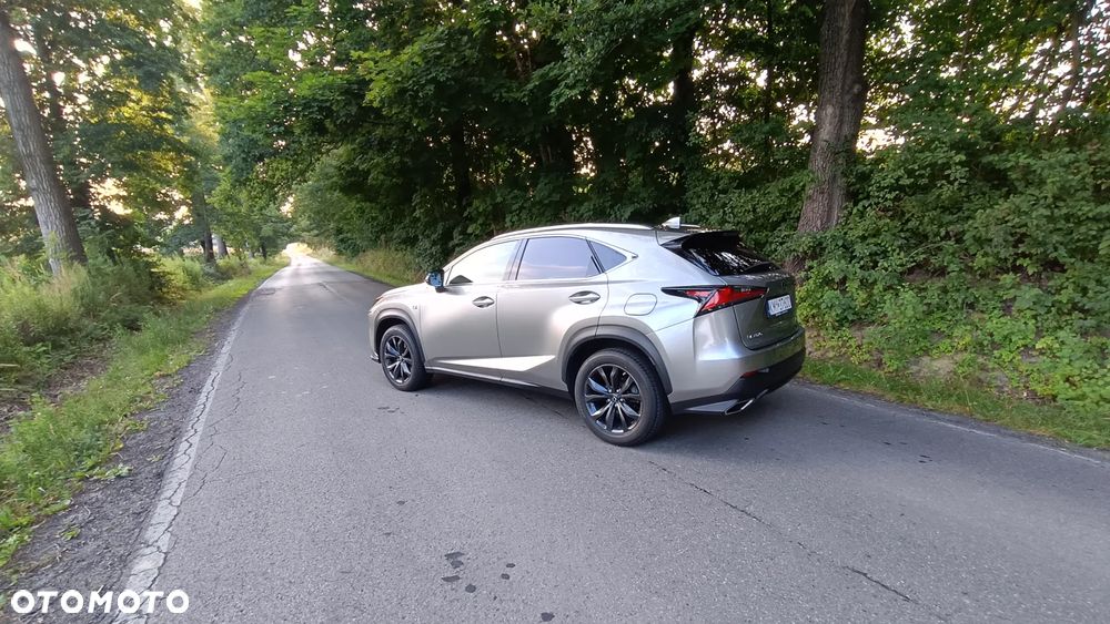 Lexus NX 300 GPF F Sport Edition AWD - 19