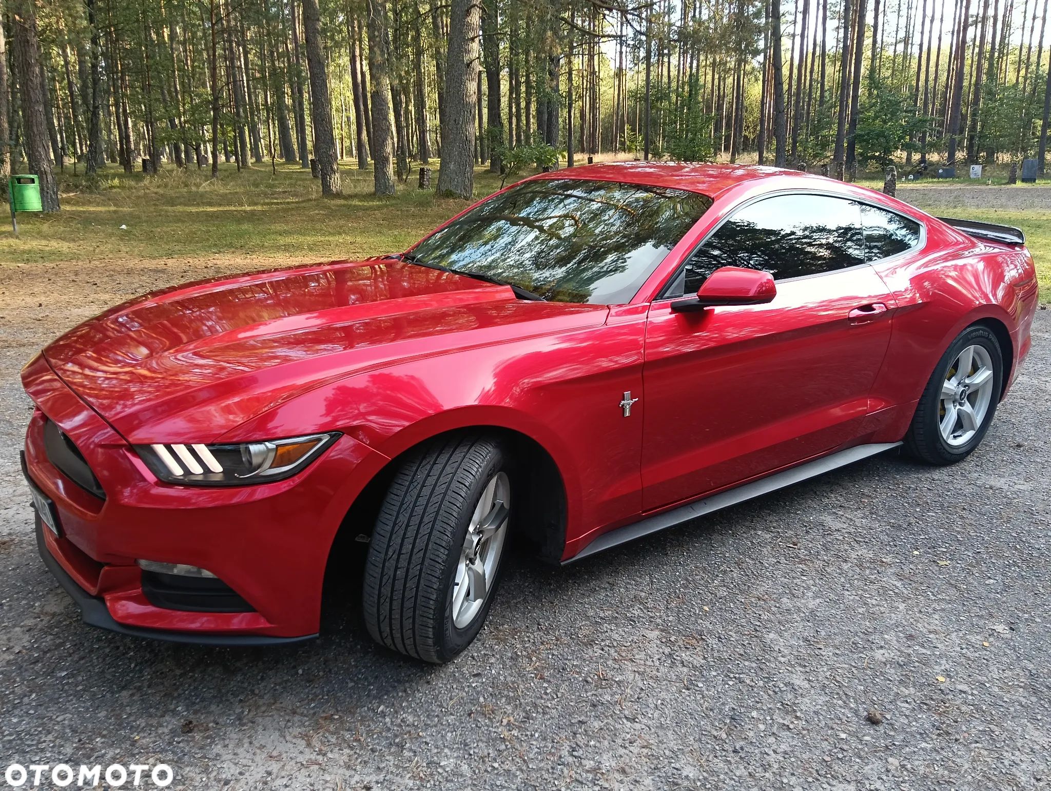Ford Mustang - 1
