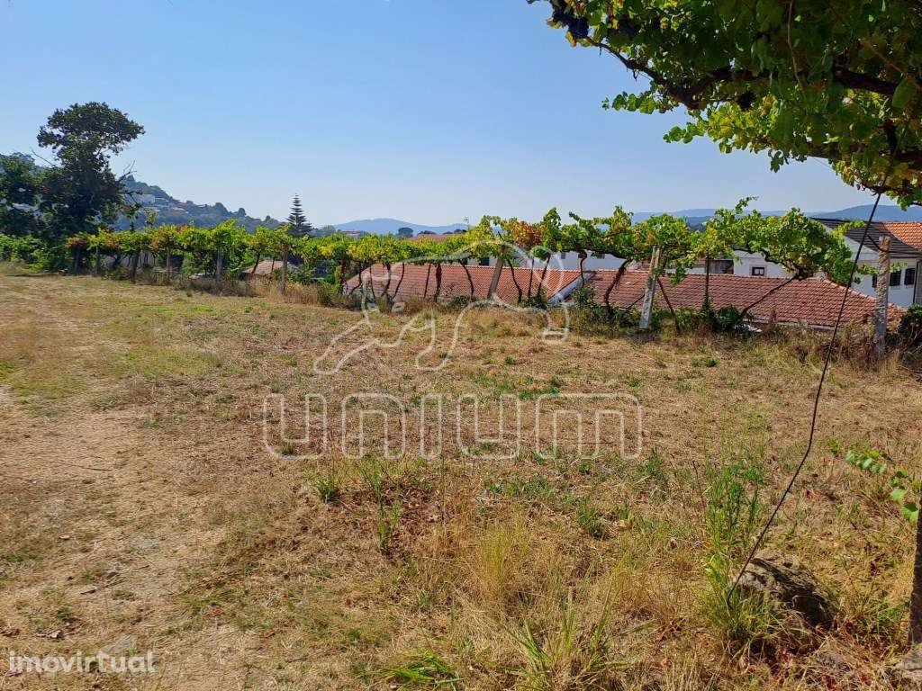 Terreno Urbanizável Gondarém - Grande imagem: 4/16