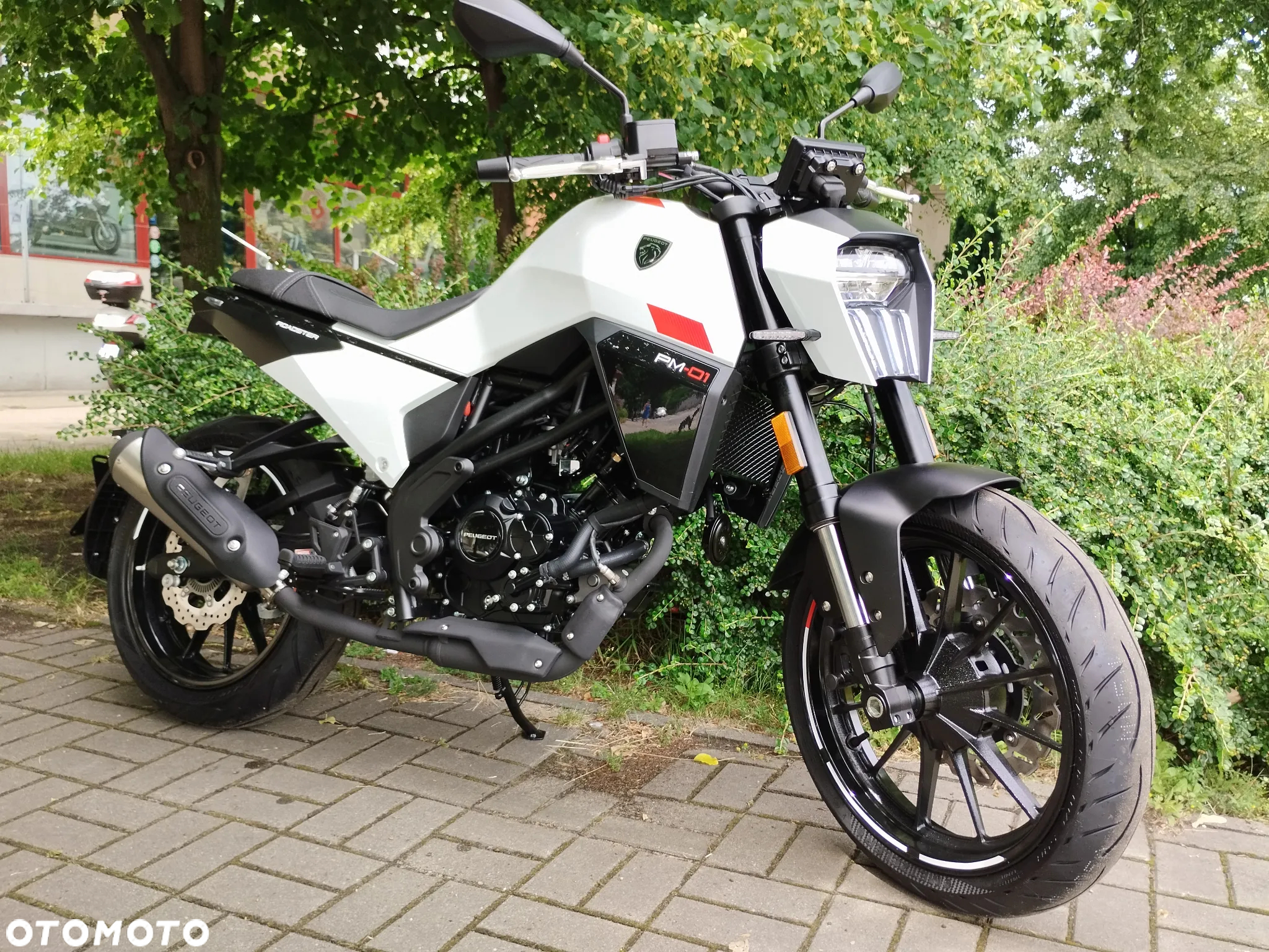 Peugeot PM-01 - 2
