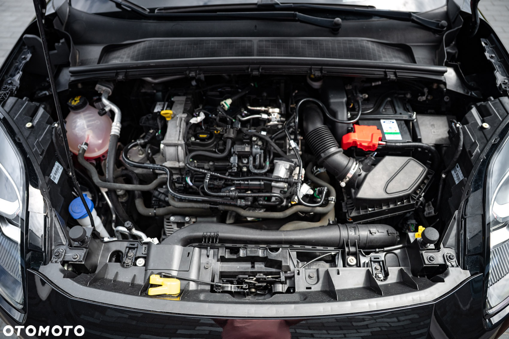 Ford Puma 1.0 EcoBoost Hybrid TITANIUM - 22