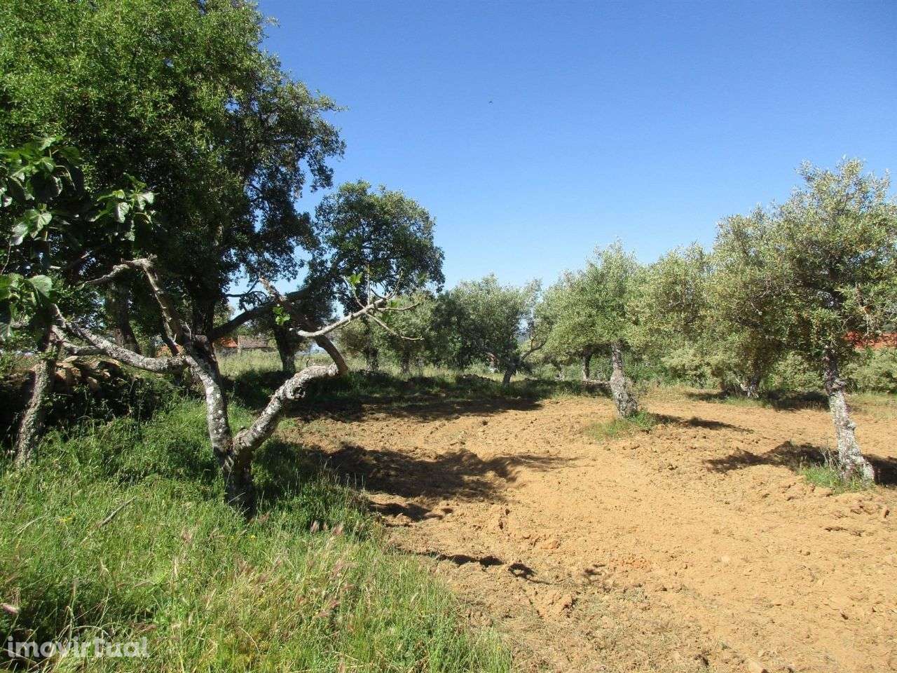 Quinta - Grande imagem: 5/10