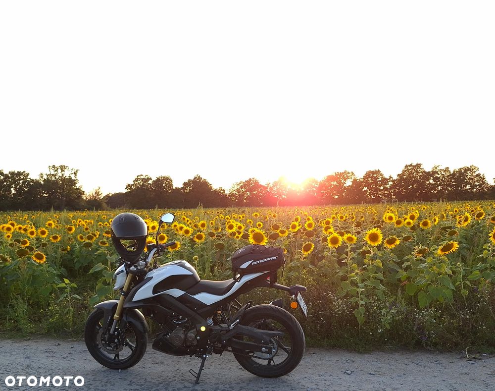 QJMOTOR SRK 125S - 1