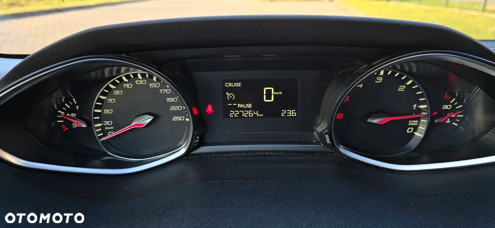 Peugeot 308 1.6 BlueHDi Active S&S - 30